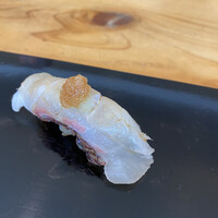 いわ志 本店 - 鯛はちょうど旬ですよね