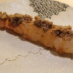 鮨 なんば - ボタンエビ