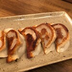 モンゴル料理居酒屋 青空アイル - ラム焼餃子500円