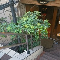 ピッツェリア ロマーナ ジャニコロ - 