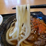 Hanamaru Udon - 牛皿うどん