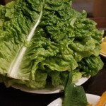 あさひ食堂 - サンチュ(580円)