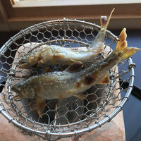 京都 吉兆 名古屋店 - 