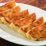 10 grilled Gyoza / Dumpling