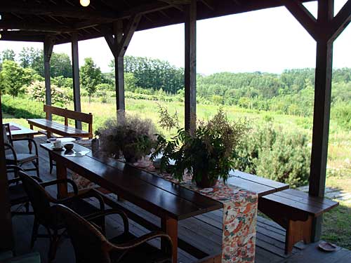 月夜のきつね - 神楽岡（喫茶店）の写真