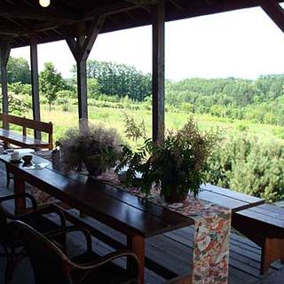 月夜のきつね_2