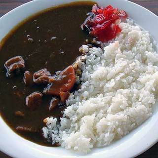 月夜のきつね_0