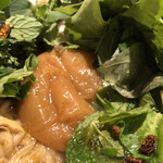 Japanese Soba Noodles 蔦 - 南高梅