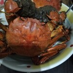 黒崎屋 - 岩瀬浜のモクズガニが入っている日もあった．写真はゆでた後だが，買ってきたときは脱走するほどの活きの良さである．１匹わずか100円足らず．濃厚なカニミソと内子を堪能した．上海蟹に大枚はたいている場合ではない．