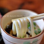 白笹うどん 多奈加 - 