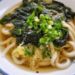 Tanimoto Udon - 