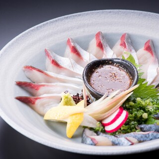 即将营业前收尾的长崎县产“活青花鱼”。一口就能知道这种鲜活的好处