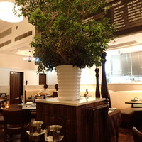 BLT STEAK  ROPPONGI - 