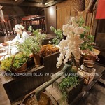 のれそれ食堂 - 