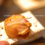 ヨッテマレ酒場 - 