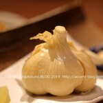 ヨッテマレ酒場 - 