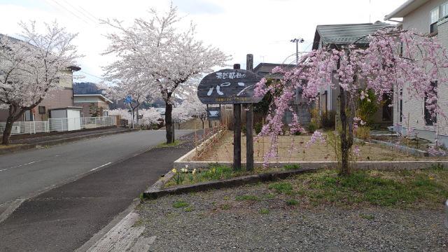 さくらさくら - 泉崎（旅館・民宿）の写真