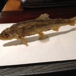 旬彩天 つちや - ハッ！見て立ってます！