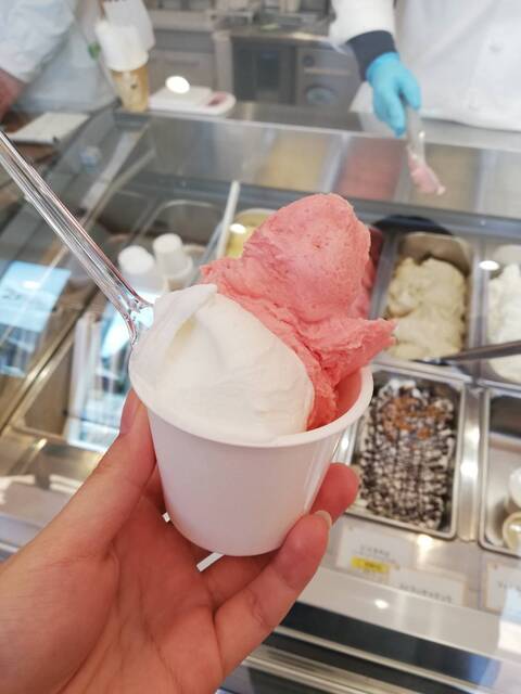 ジェラテリア アガーレ - 山形（ジェラート・アイスクリーム）の写真