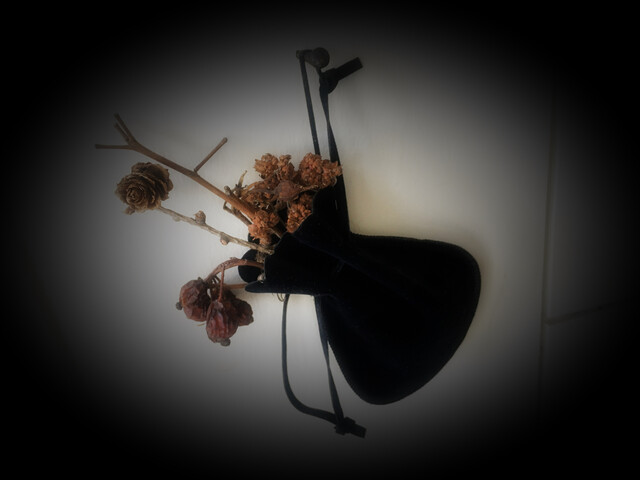 今年の営業は今月いっぱいとなっていたので、ランチを食べに行きました。 : cacicoの写真