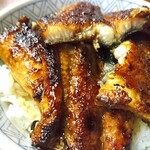 イチビキ - 鰻の断面