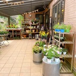 カラミンサ - 店先で植物も販売