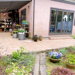 カラミンサ - 外観