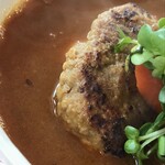 スープカレー トムトムキキル - ハンバーグはこんな感じ