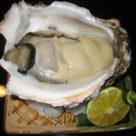 鮨 福原 - 岩ガキ