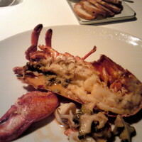 ツキ シュール ラメール - 