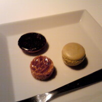 ツキ シュール ラメール - 