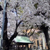 THE KAWABUN NAGOYA - 