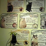 キャテリアム - 猫スタッフのメンバー表