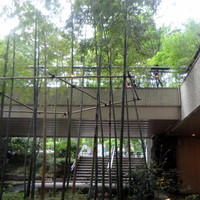 麓屋 京王プラザホテル - カウンター席から見える景色