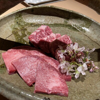 日本焼肉はせ川 表参道店 - 