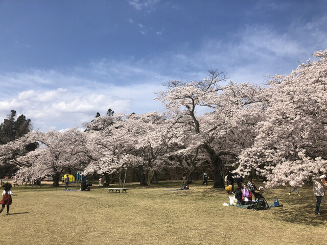三神峯公園のすぐ近くのだんご屋 By てっぷさん だんご おはぎ よしつね 富沢 和菓子 食べログ 三神峯公園のすぐ近くのだんご屋 By てっぷさん だんご おはぎ よしつね 富沢 和菓子 食べログ