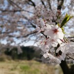 江口だんご本店 - 