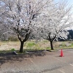 江口だんご本店 - 