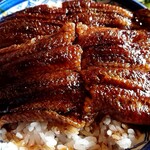 蓬ぜん - 鰻どんぶり(竹)のアップ