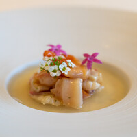 レストラン オオツ - 2020.4 帆立出汁のフラン 浅蜊出汁のジュレ 北海道ホッキ貝 明石本ミル貝 閖上赤貝