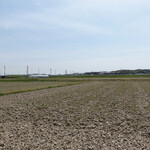 オワゾーコーヒー - 常滑の田園風景