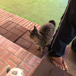 インターナショナルビレッジ - 