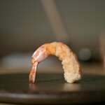 Tempura Darukin - 