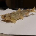 にい留 - 稚鮎、生きたまま氷で仮死状態にして揚げる