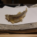 にい留 - 稚鮎、内蔵の苦味がフレッシュ