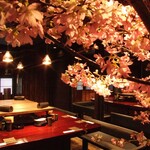 鳥ばか一代 - 桜祭り