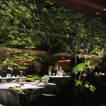 レフェルヴェソンス - 