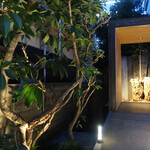 レフェルヴェソンス - 