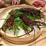 肉屋 田中 - 本日の豪華食材