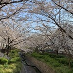 Taishuu Itaria Shokudou Areguro - つかしんの風景